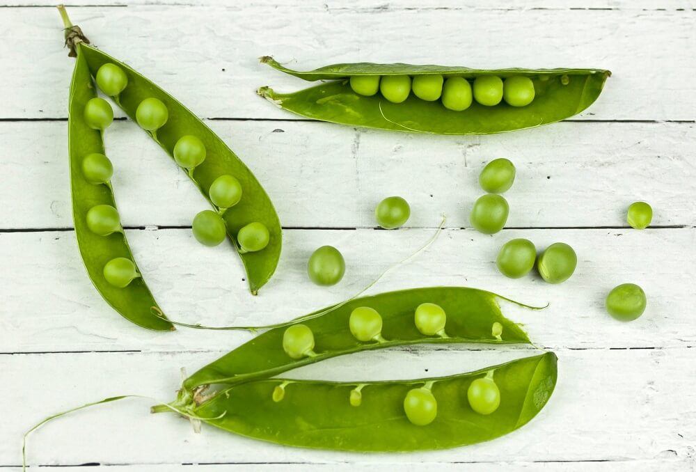 How To Harvest, Dry And Store Beans And Peas For Winter Use