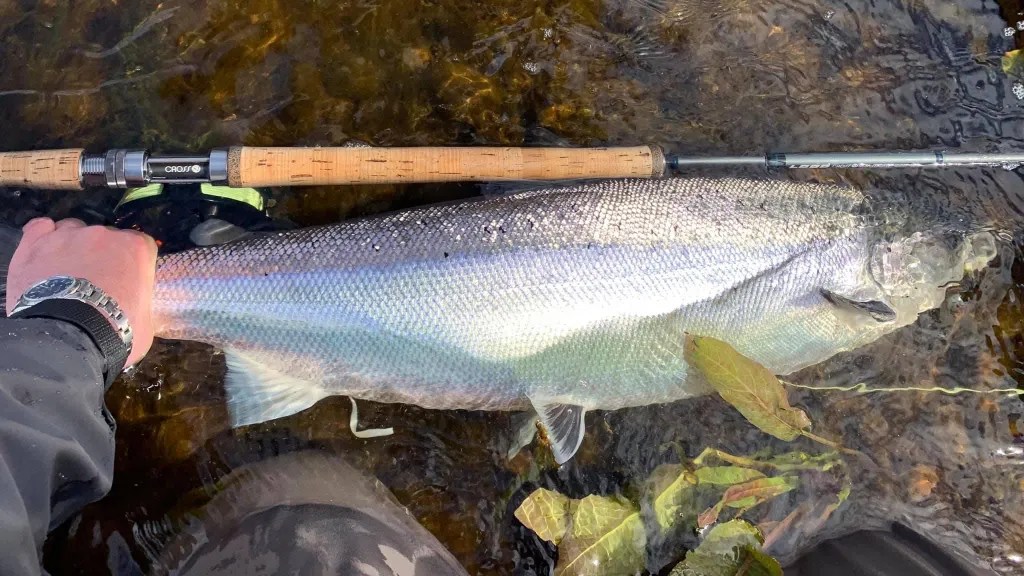 Fish Handling Good Practice Tips FishPal Journal