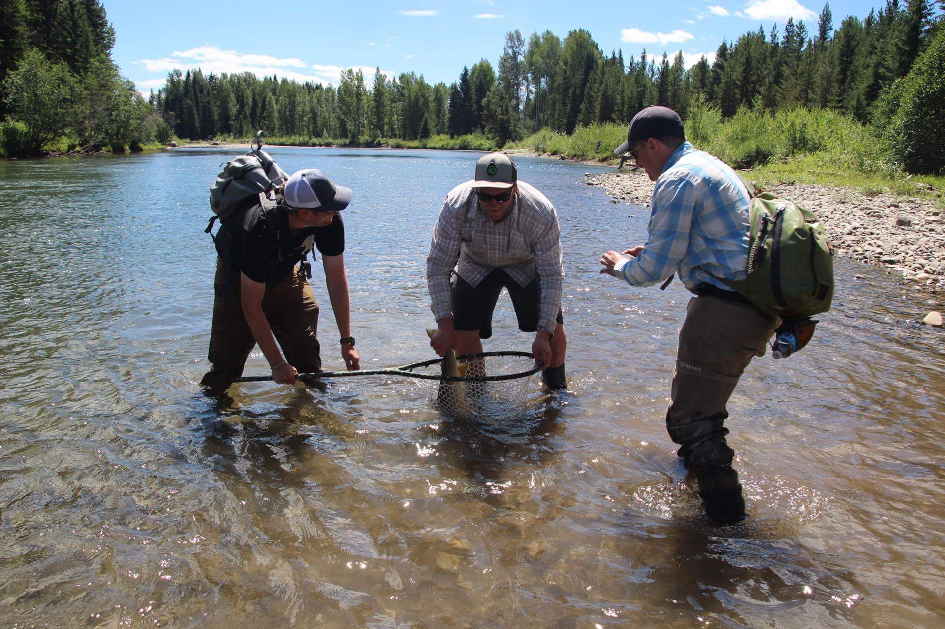 DIY A Fly Fishing Rod Rack & Carrier