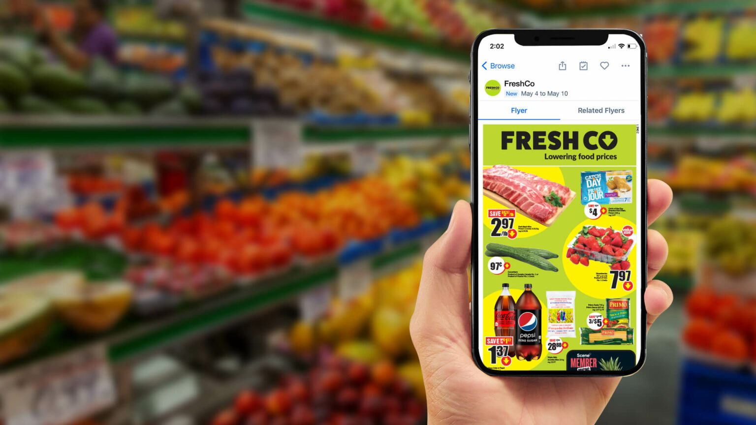 Does FreshCo Price Match? Everything You Need To Know Flipp Tipps