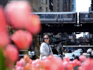 Street Cinemagraphs Flixel Instagram