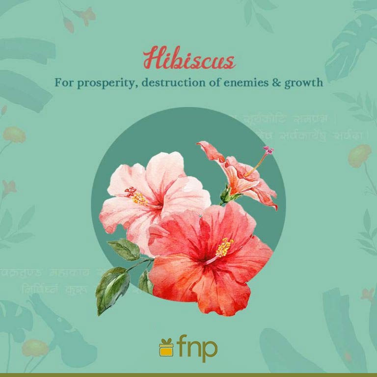 Which Flowers are used On Ganesh Chaturthi