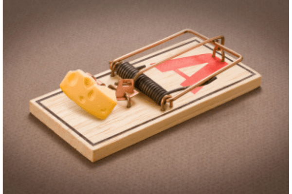 Lessons From The MouseTrap Challenge - FocusU