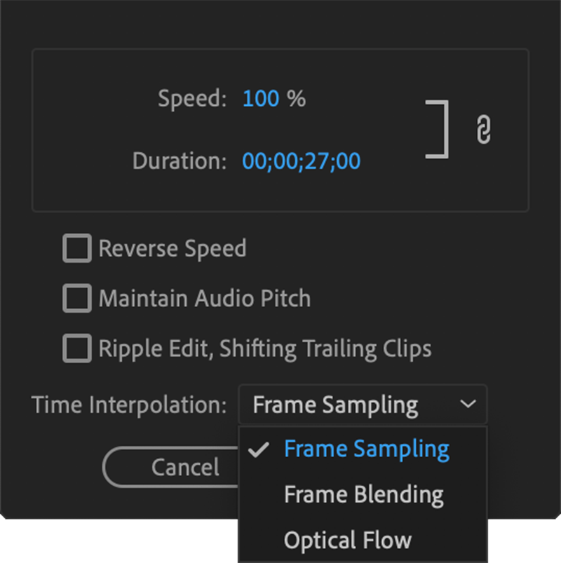 Frame Interpolation Premiere Pro