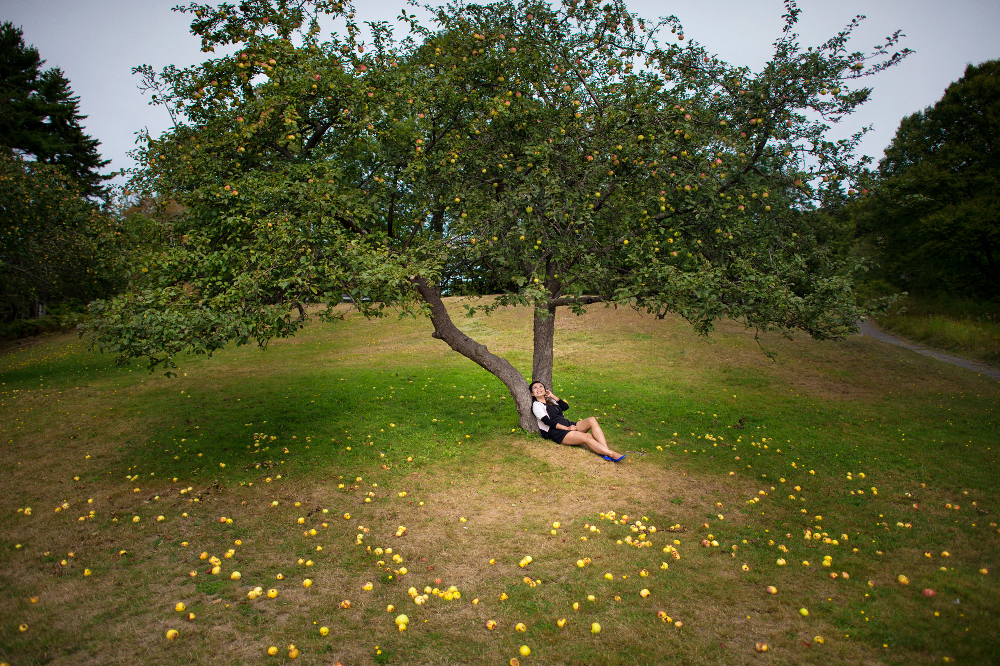 Frankie Foto » Don’t Sit Under the Apple Tree