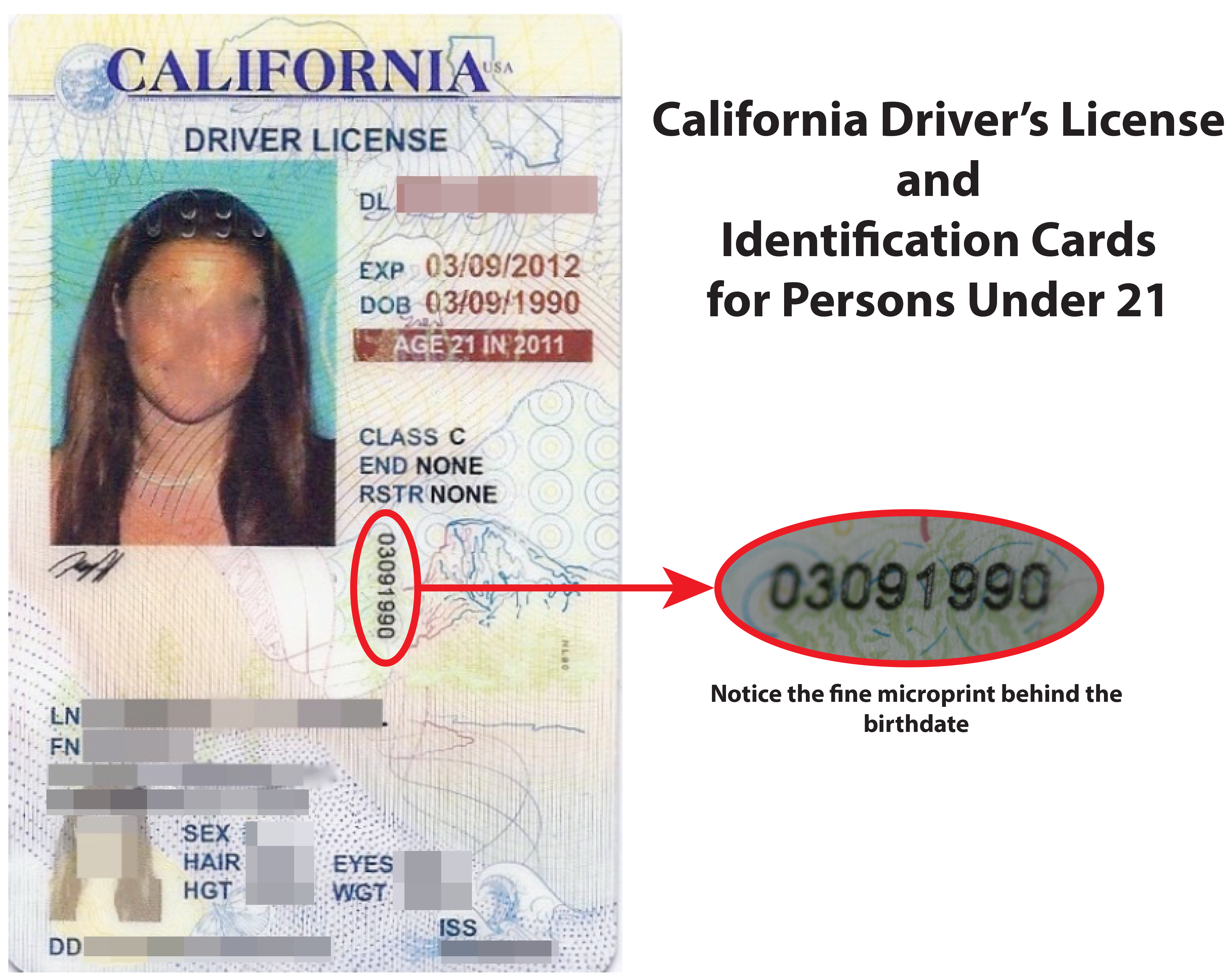 Ca License Verification