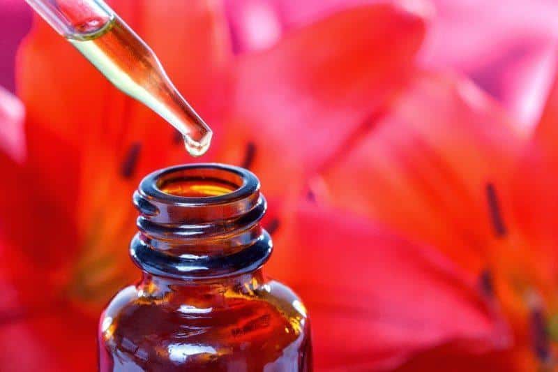 Essence Preservatives Brandy vs Vinegar Freedom Flowers®