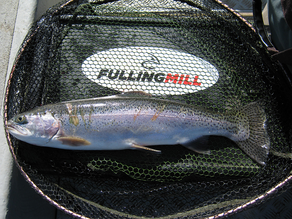 Buzzer Fishing Tactics Fulling Mill Blog