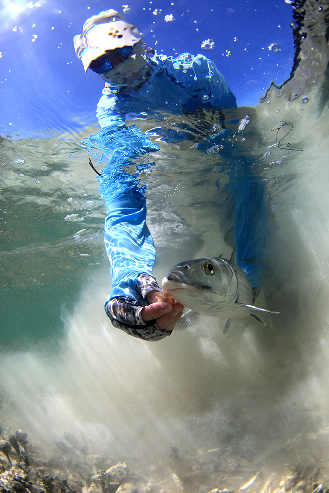 Socially Acceptable Fish Handling Fulling Mill Blog