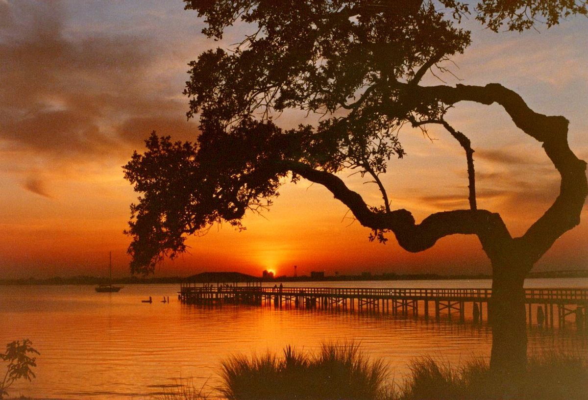 Living by the Coast Facts & Information About Melbourne, FL