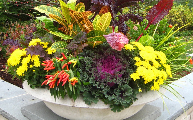 19 Fabulous Fall Container Garden Ideas Garden Lovers Club