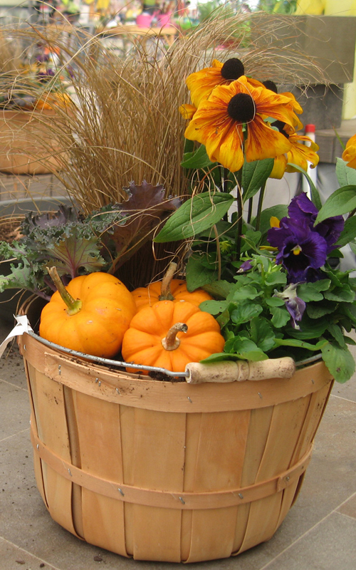 19 Fabulous Fall Container Garden Ideas Garden Lovers Club