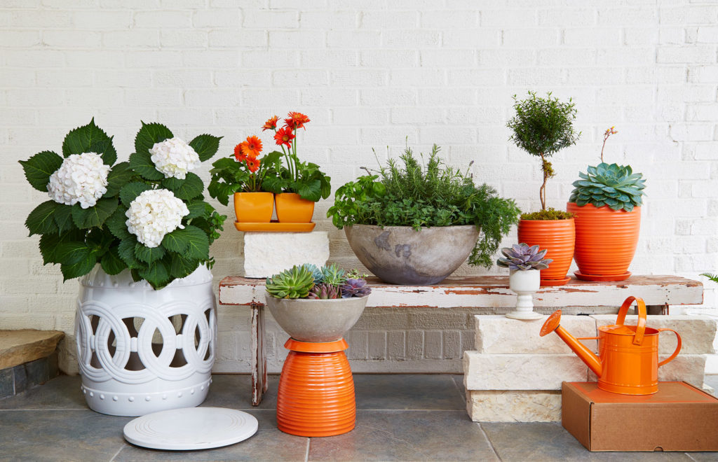 Gardenuity Garden Home Decor