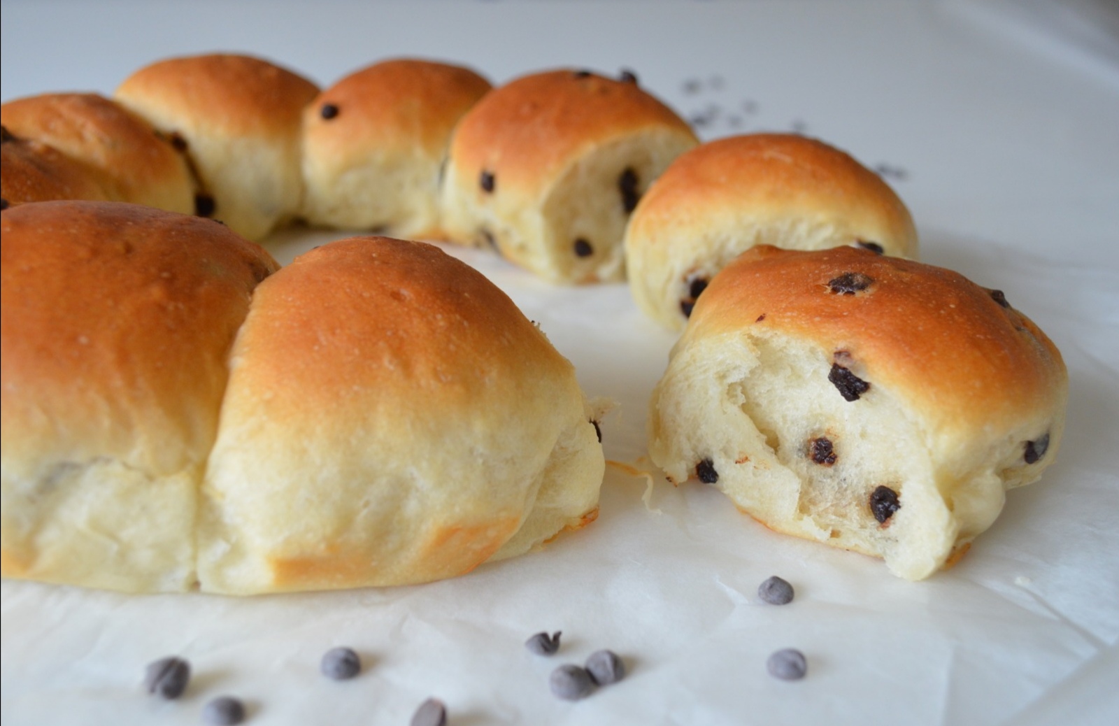 PANGOCCIOLI LIGHT E VEGANI senza uova, latte e burro FoodblogFuorisede