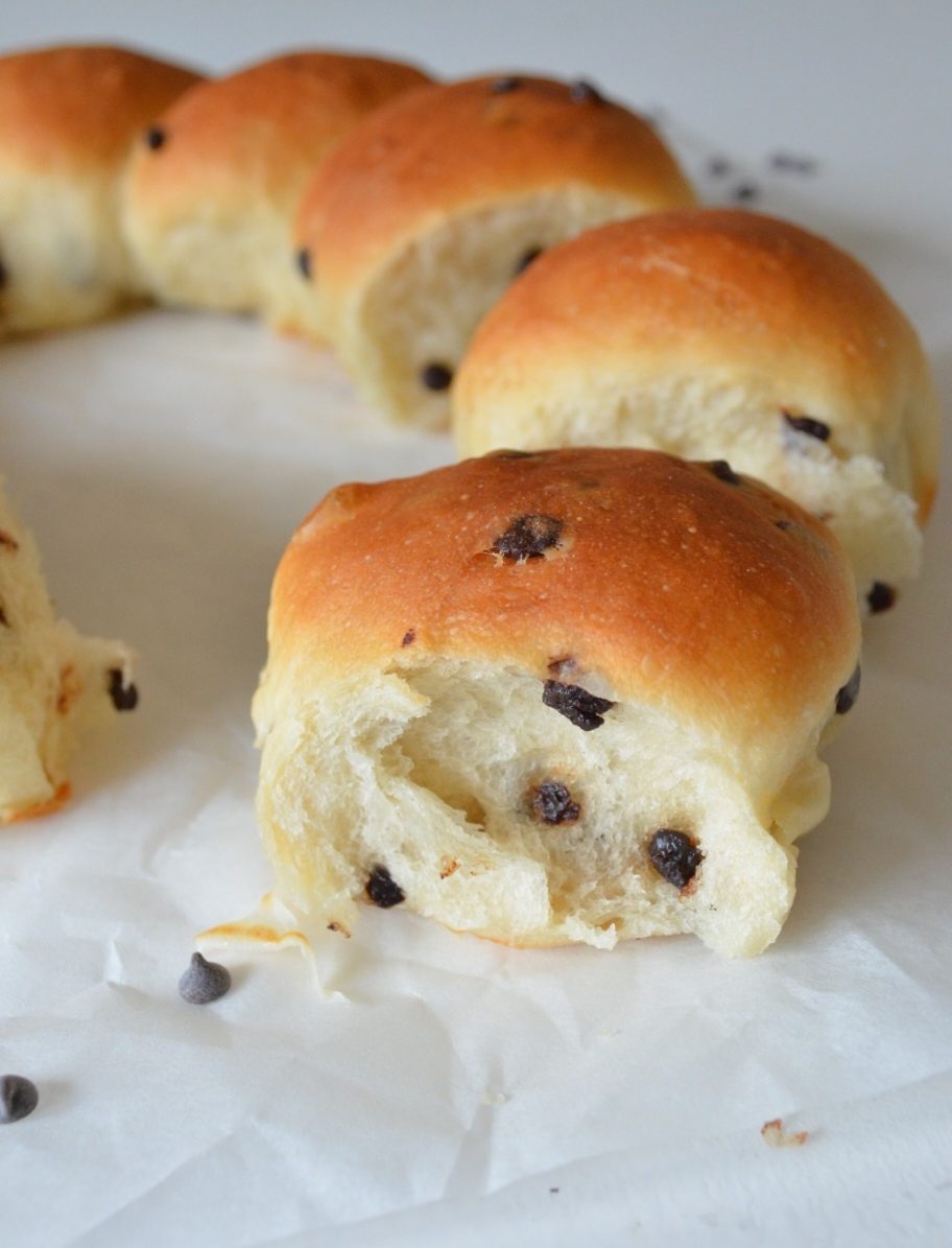 PANGOCCIOLI LIGHT E VEGANI senza uova, latte e burro FoodblogFuorisede