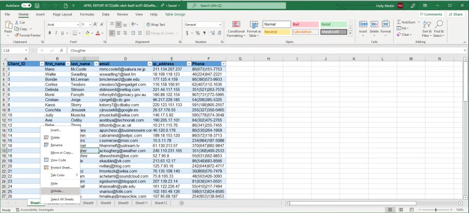 How To Unhide Excel Sheets (& How To Hide) Layer Blog