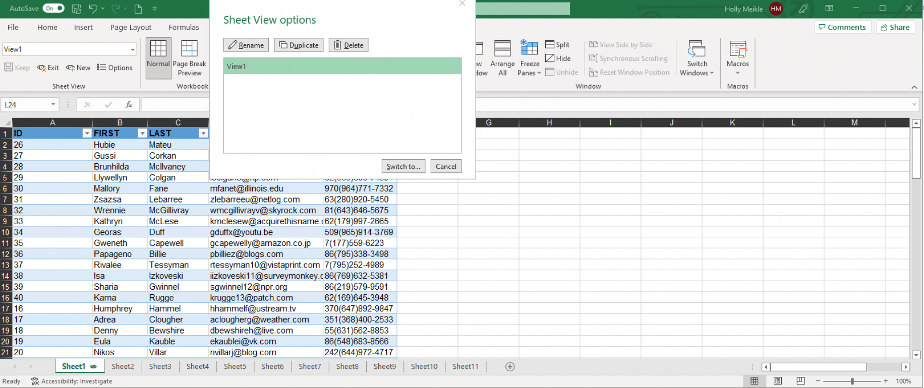Sheet view in excel