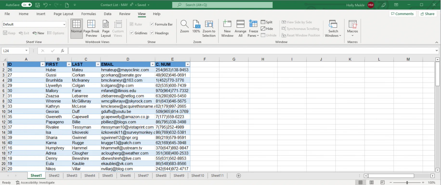 Sheet view in excel