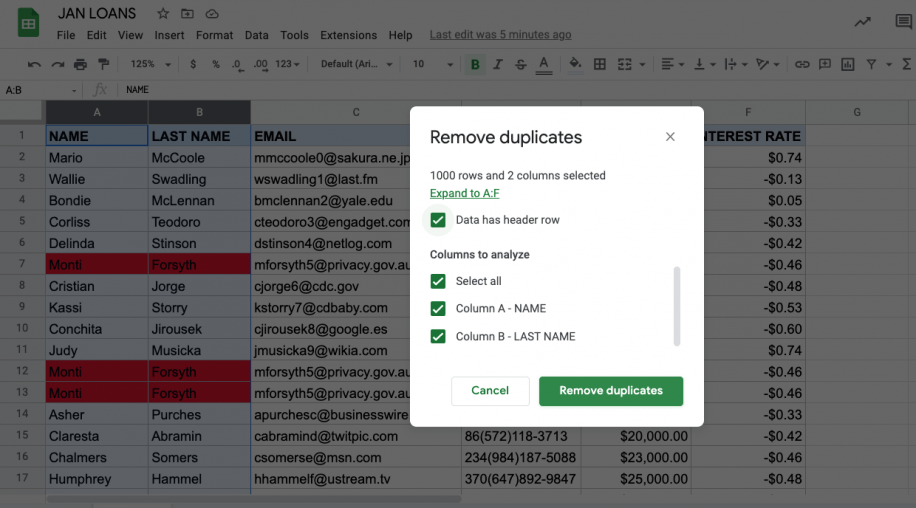 How to Highlight Duplicates in Google Sheets Layer Blog