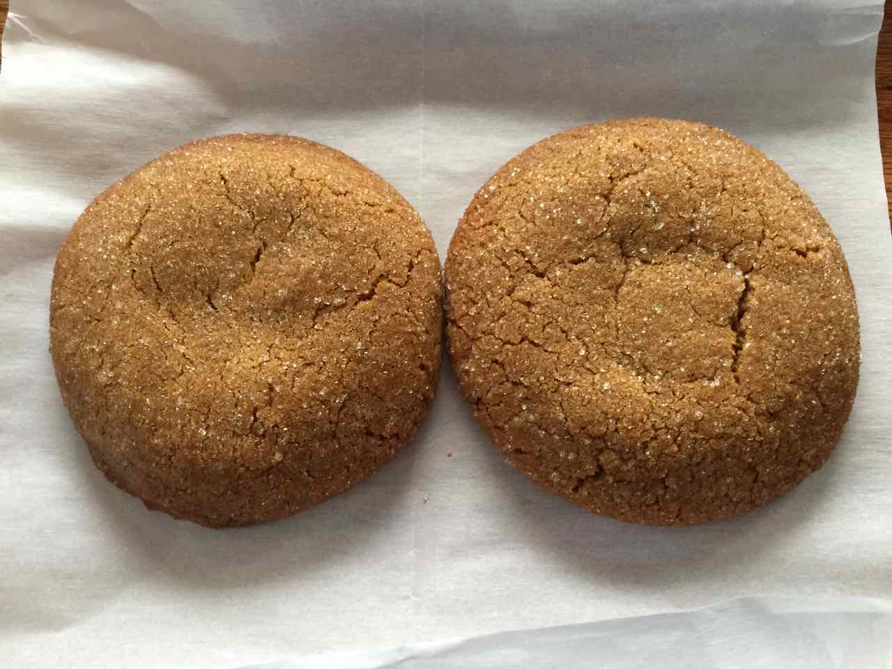 Convection Oven Gingerbread Cookies Good Sam Camping Blog