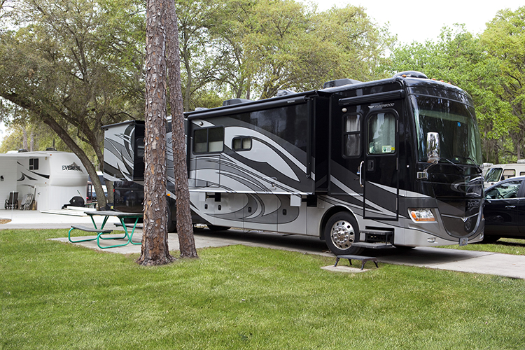 Tampa East Resort the Very Best of Tampa Good Sam Camping Blog