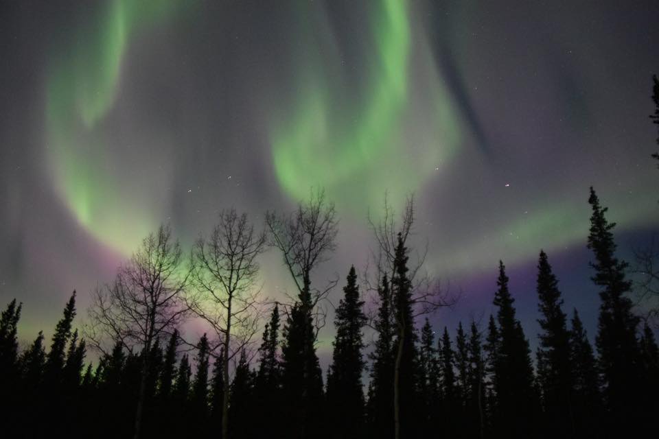 See the Nothern Lights at Alaska's Tok RV Village & Cabins