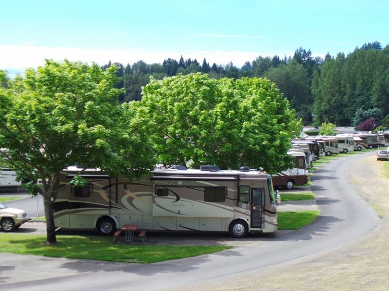 Explore Mt. St Helens Washington I Good Sam Camping Blog