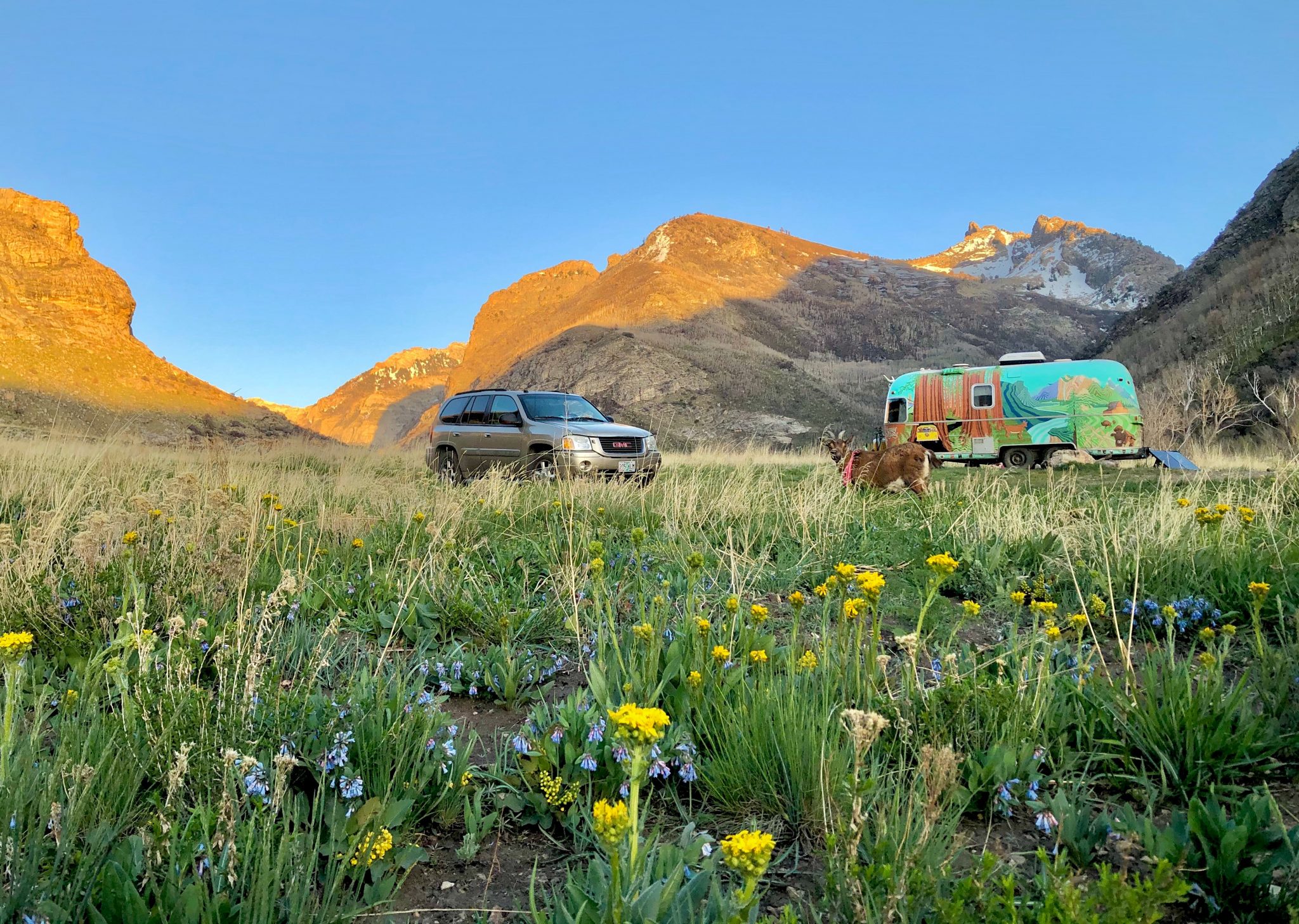 Exploring the Ruby Mountains Nevada’s Hidden Gem Good Sam