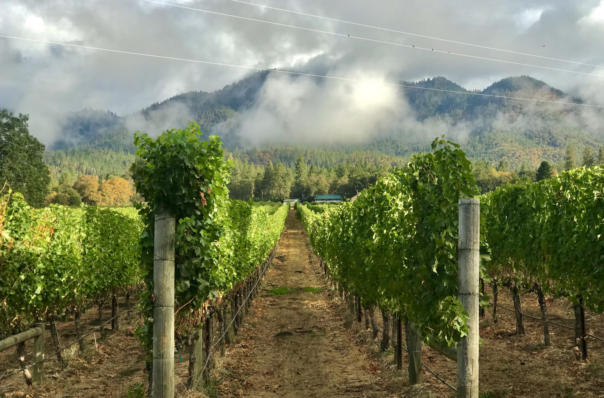 Taste the Flavors of Southern Oregon Wine Country Good Sam Camping