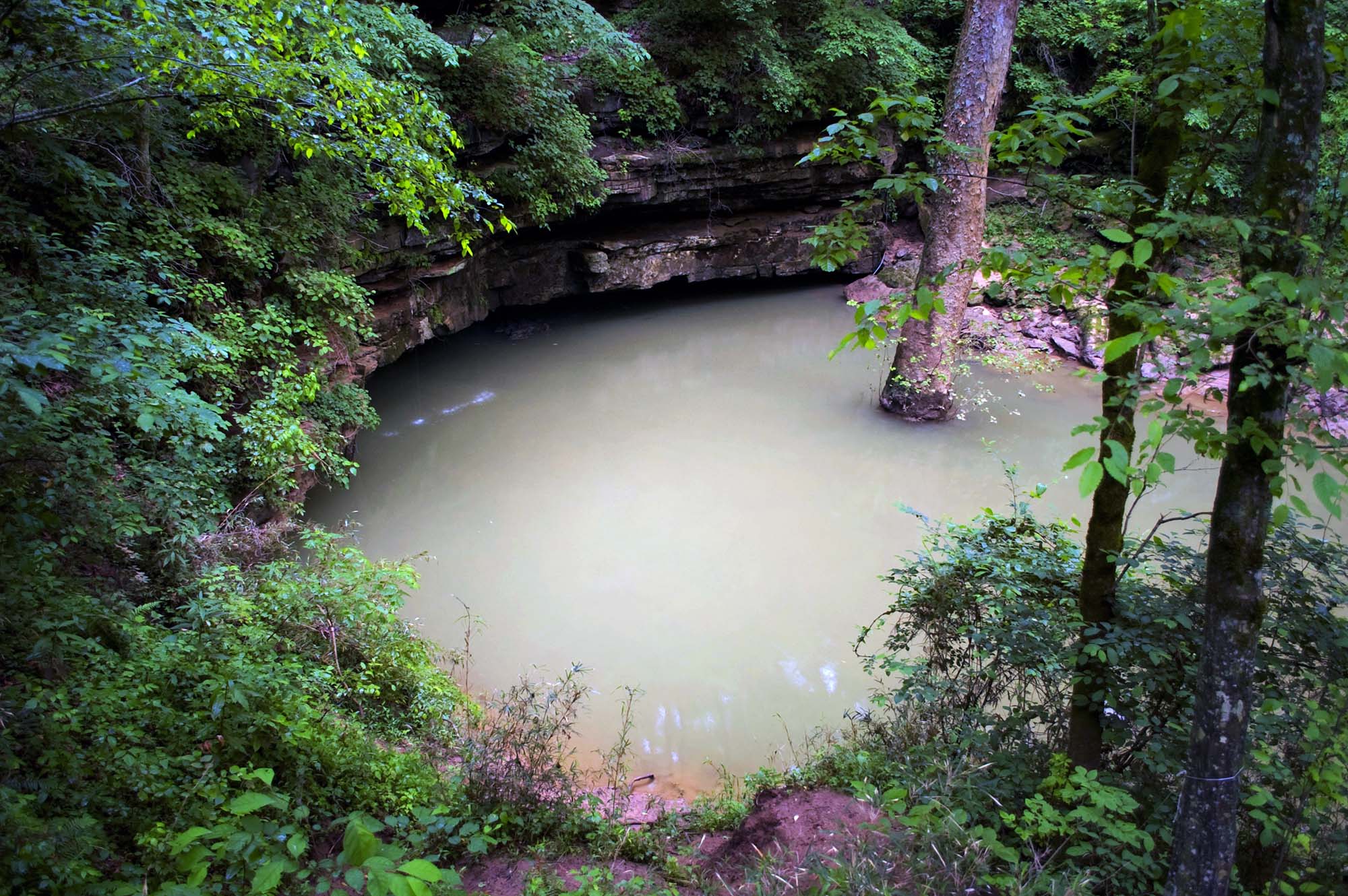 Hikes in Mammoth Cave National Park Trails Good Sam Camping