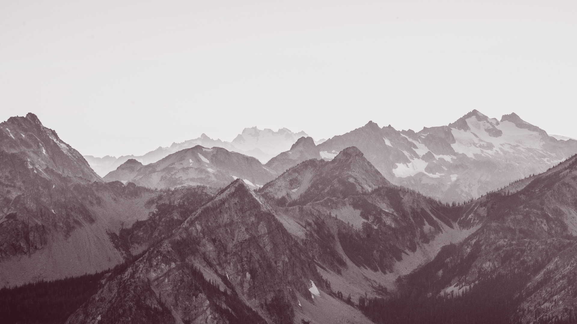 Digital Marketing Case Studies for Ethics Patagonia