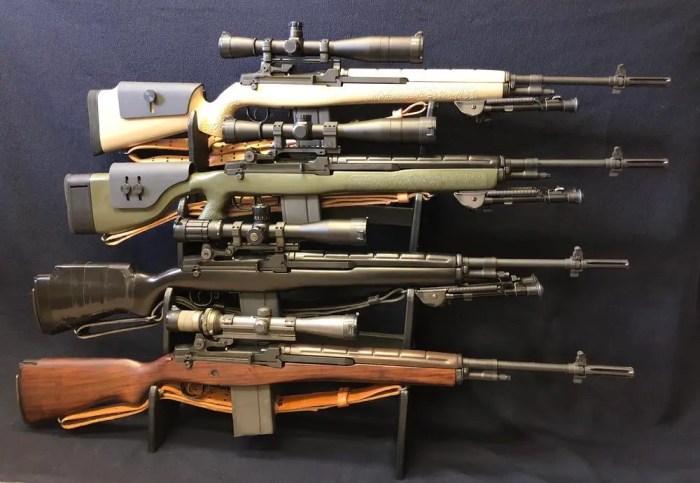 Types of scar rifles