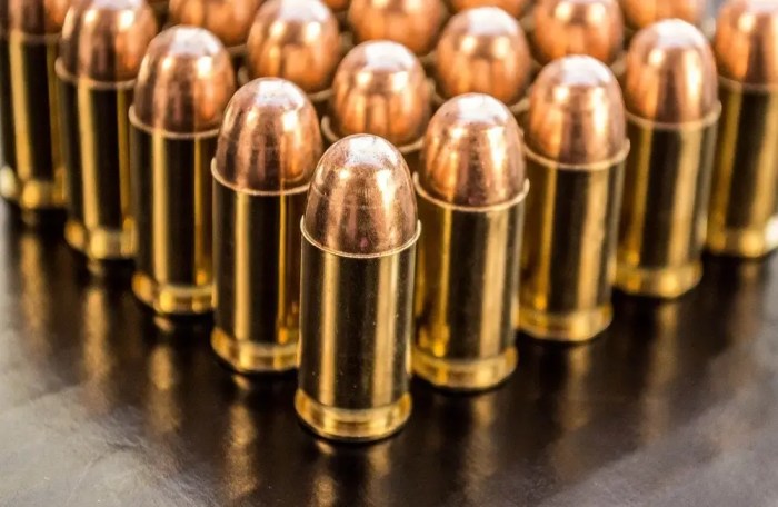 Deadliest 9mm ammo 2022