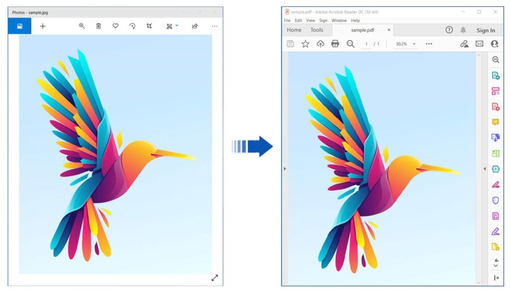 Convert Images to PDF using REST API in Python JPG to PDF in Python