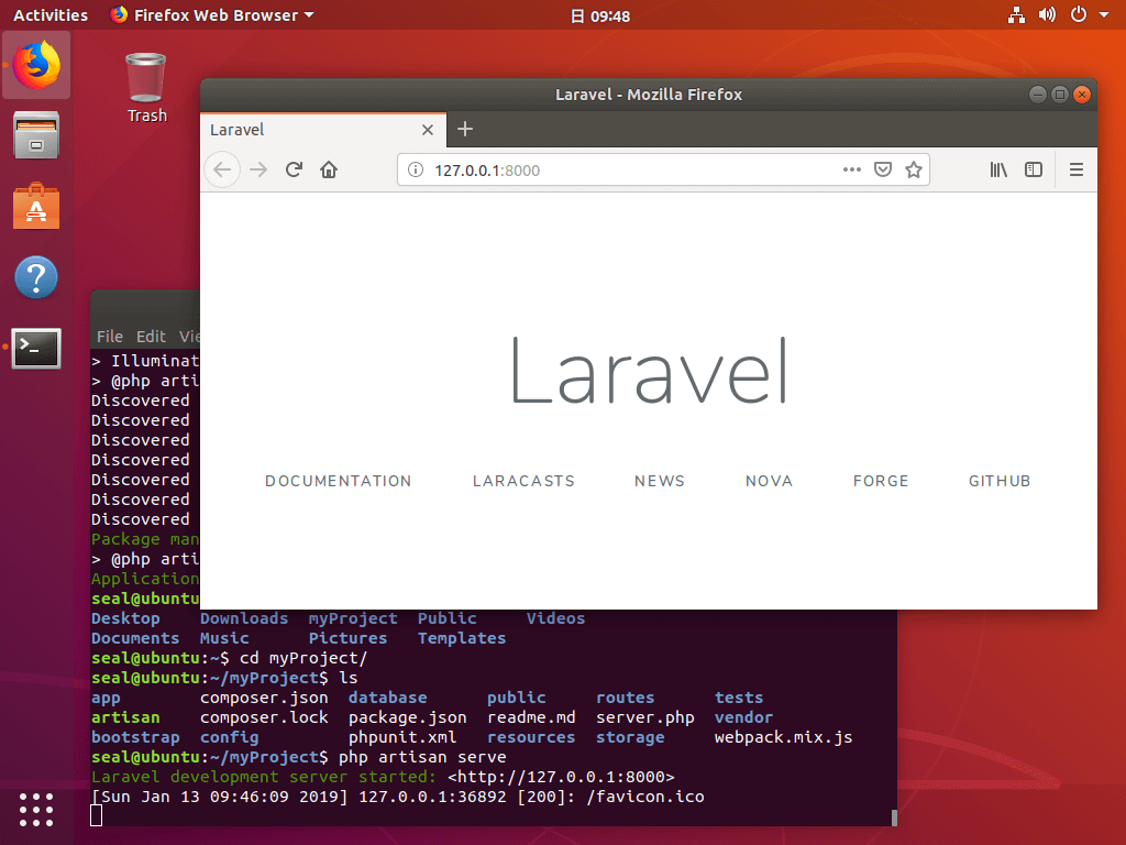 Laravel Nginx