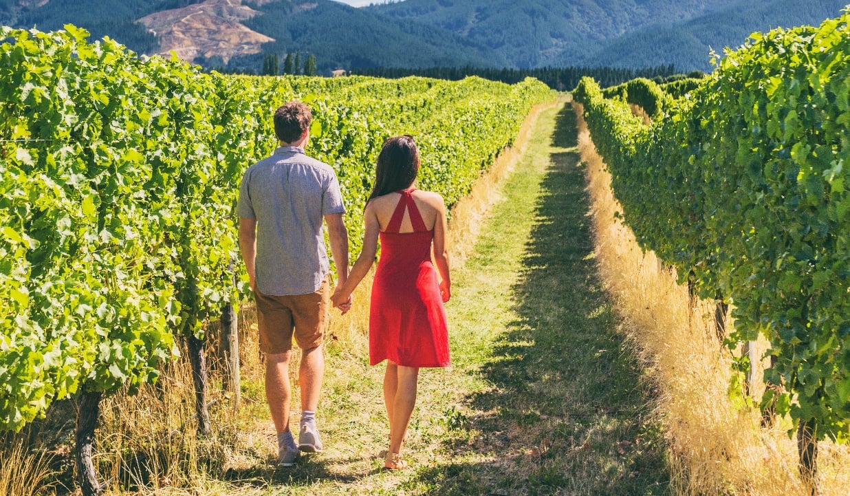 Day Trip Itineraries for Minnesota Wineries