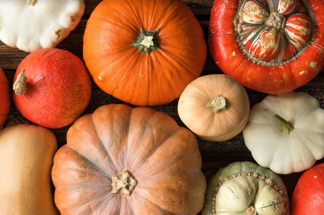 How to Cook Squash The Fresh Times