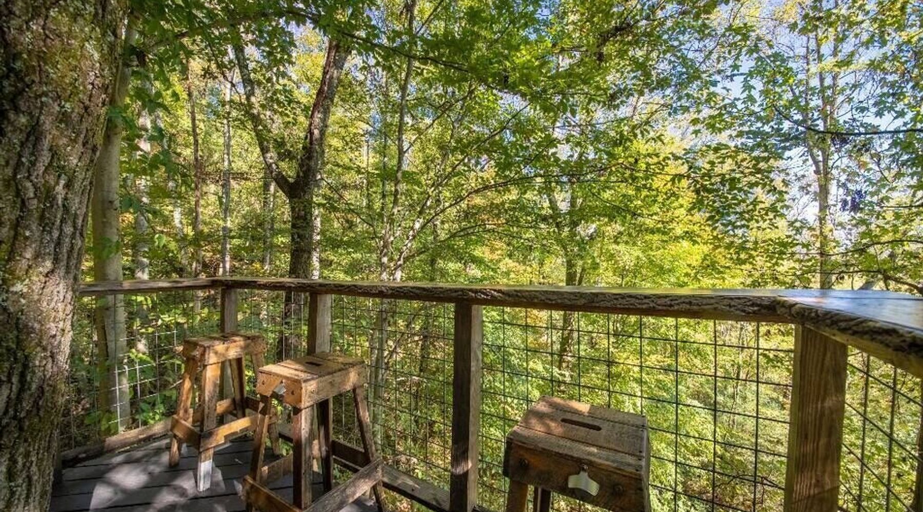 An Airbnb Treehouse Adventure In