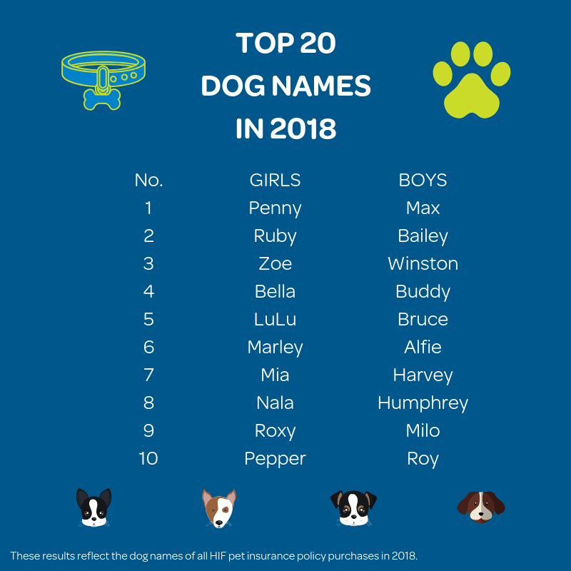 Top 20 Dogs Names for 2018