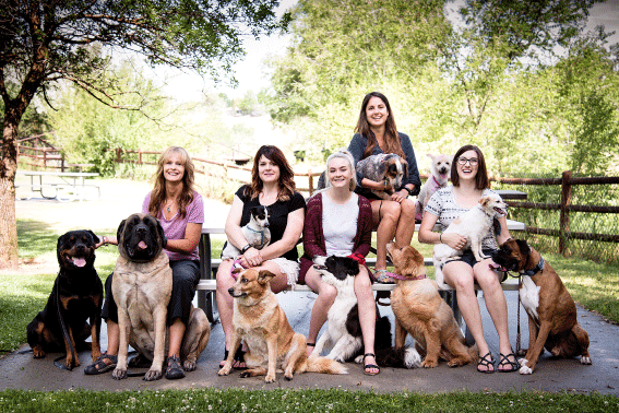 Steve’s Real Food, un caso de éxito de alimentos HPP para mascotas