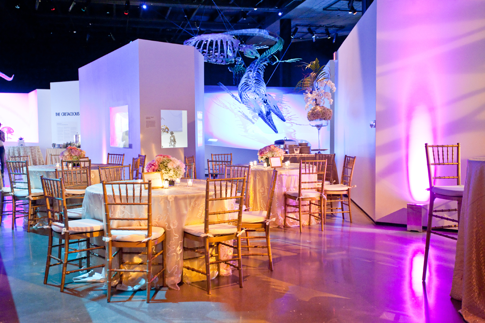 Test your trend awareness with our HMNS Special Events