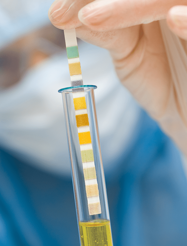 When To Measure The pH Of A Wine E. C. Kraus WinemakingWine Making