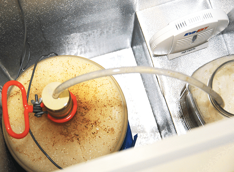 Homebrew Hacks The Art of the Blow Off Tube E. C. KrausWine Making