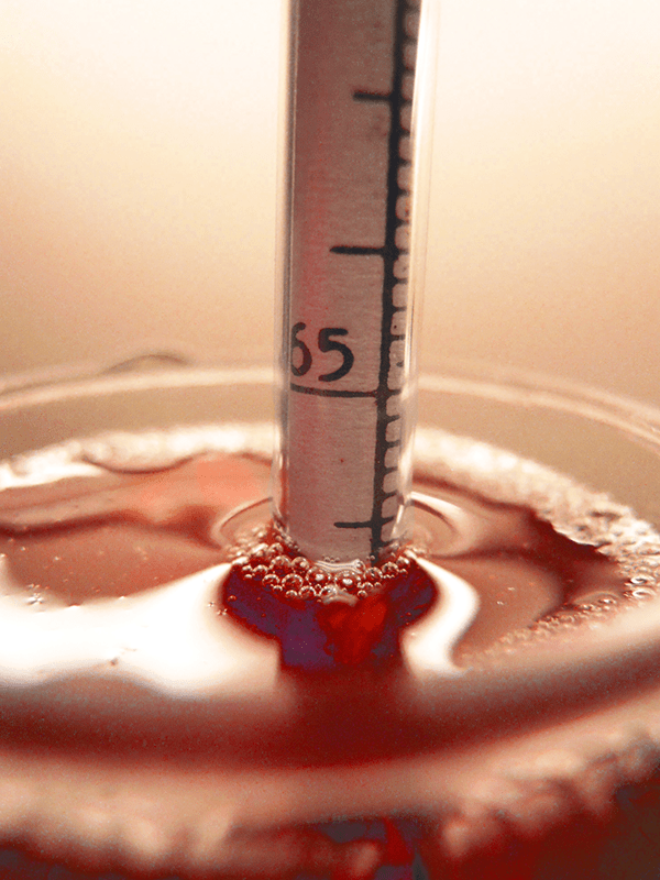 Essential! Learn About Wine Making Using A Hydrometer! Wine Making