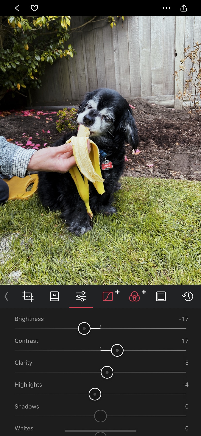 The 22 Best Instagram Editing Apps for 2022