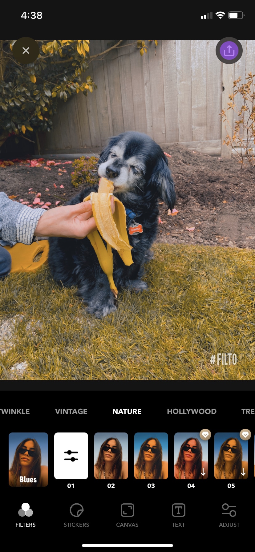The 22 Best Instagram Editing Apps for 2022 VII Digital