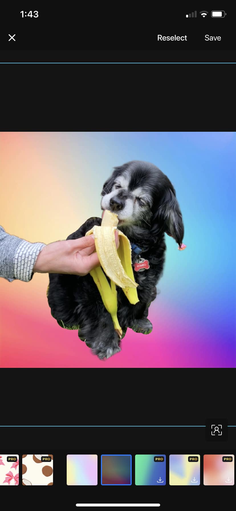 The 22 Best Instagram Editing Apps for 2022 (2/2) Build My Plays