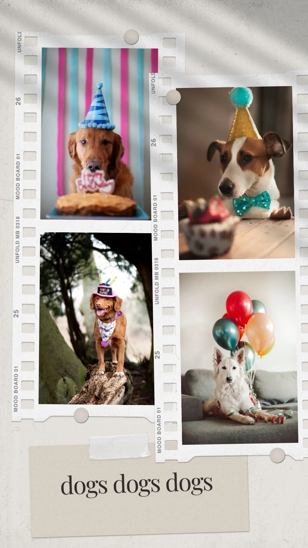 How to Add Multiple Photos to an Instagram Story [3 Ways]