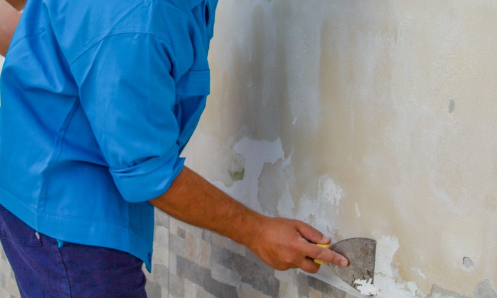 How To Get Rid Of Dampness In Home at Glenda Lint blog