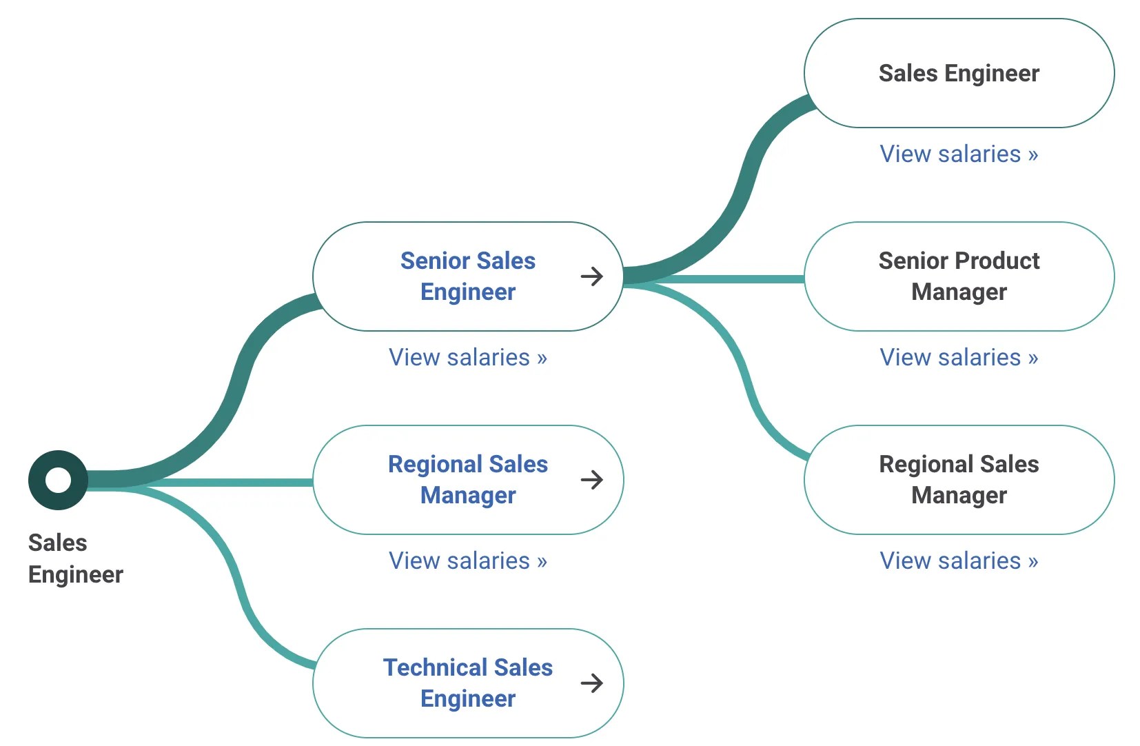A Career in Sales The Ultimate Guide